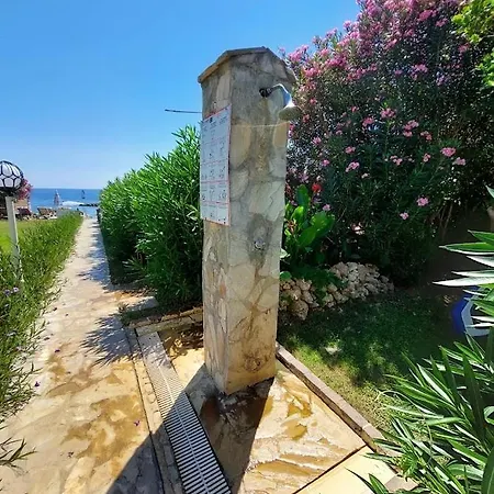 Royal 6 Ahmet *